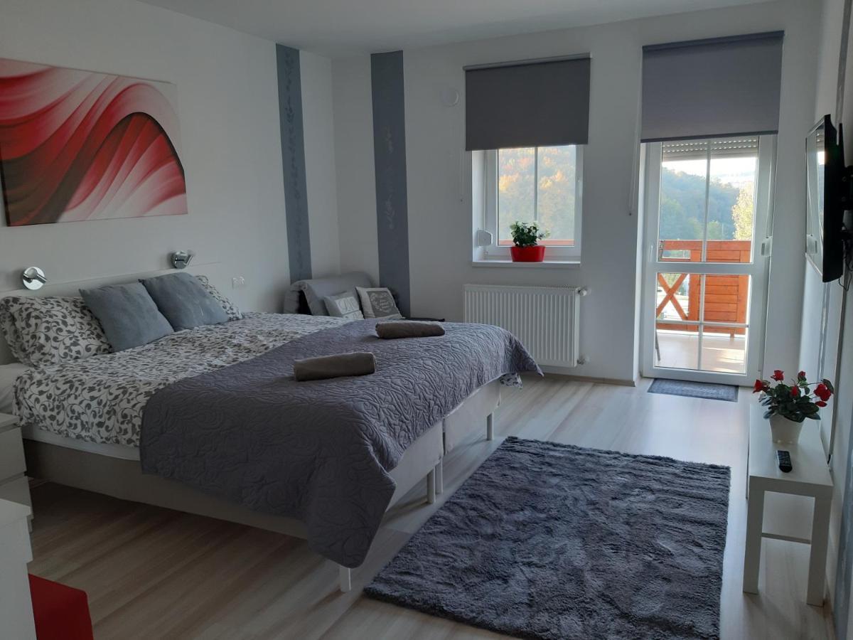 Szalok Spa Apartman אגרסאלוק מראה חיצוני תמונה